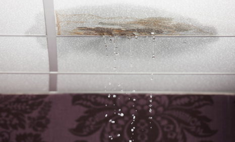 Plumber Hampton Park